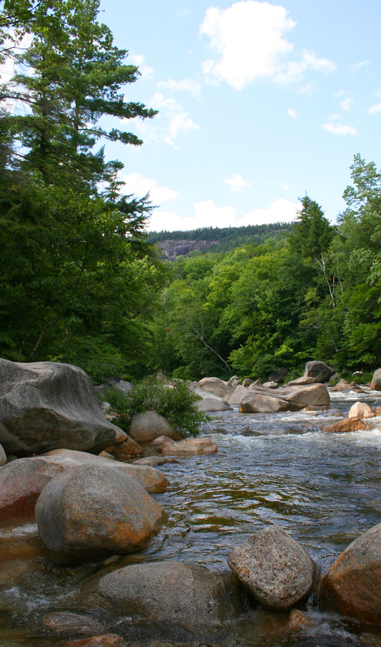 River in the Mountains