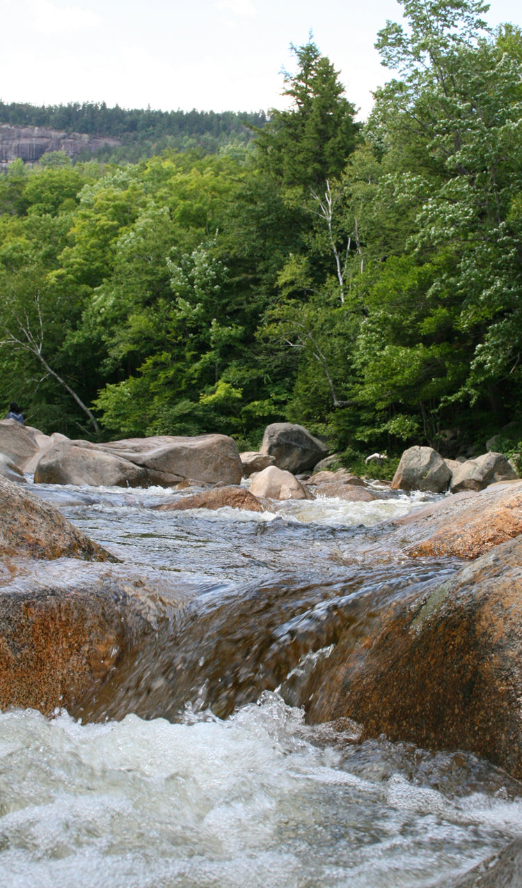 River in the Mountains