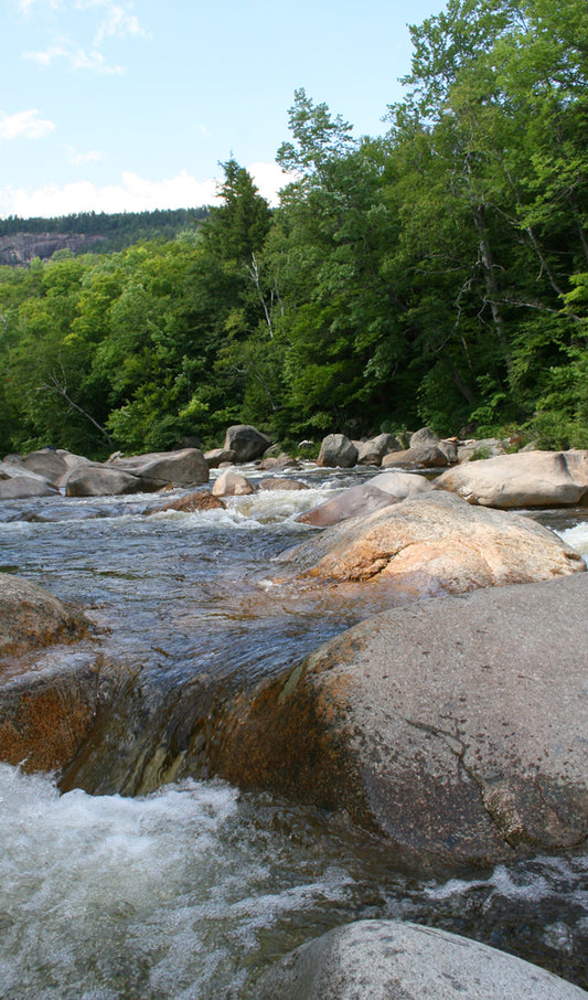 River in the Mountains