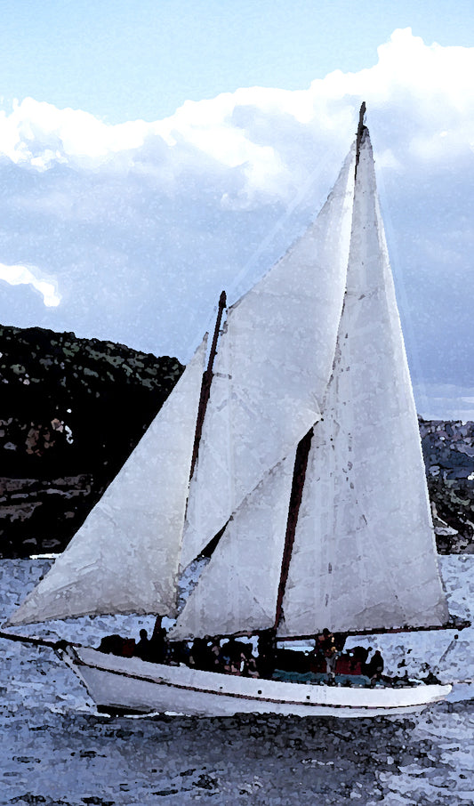 Sail Boat