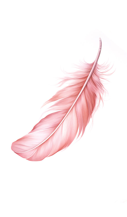 Pink Feather