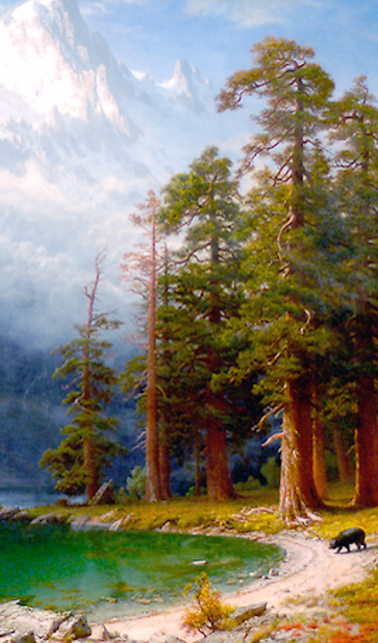 Black Bear near a Lake Painting