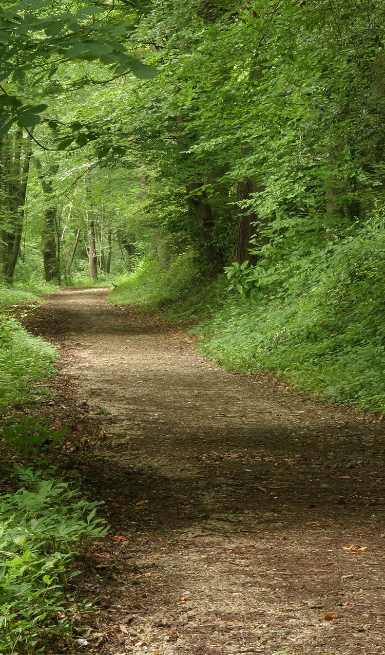 Hiking Trail