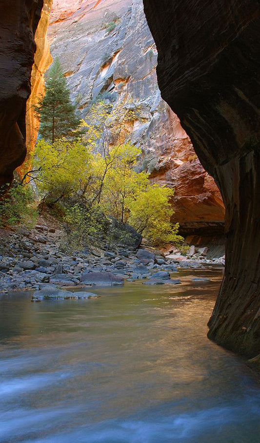 Zion National Park